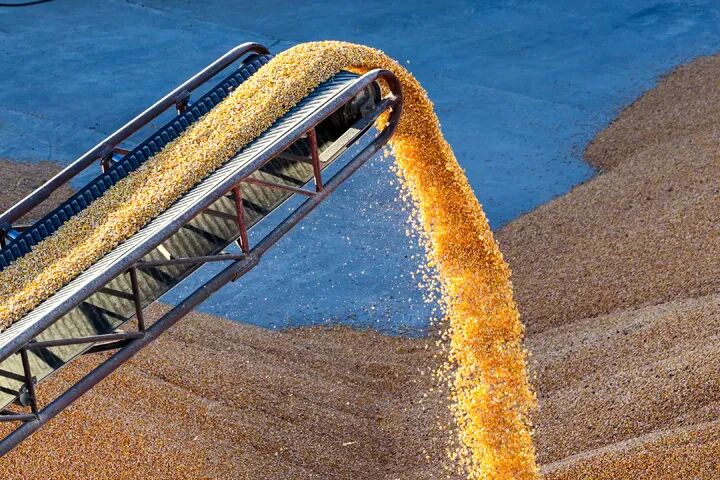 图说科右前旗丨科右前旗：粮仓满盈 颗粒归仓